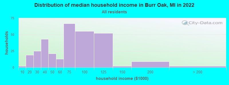 Distribution of median household income in Burr Oak, MI in 2022