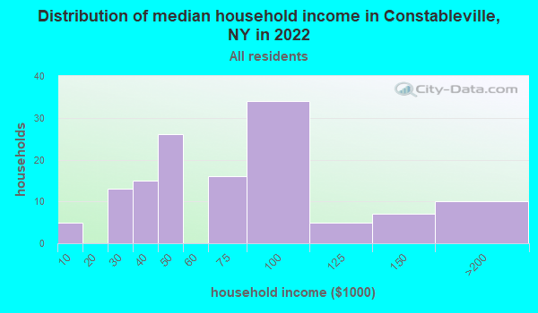 Constableville, New York (NY 13325) profile: population, maps, real