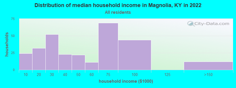 Distribution of median household income in Magnolia, KY in 2022