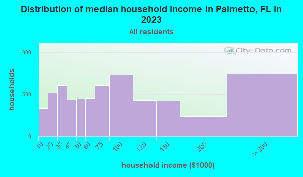 Palmetto, Florida (FL 34221) profile: population, maps, real estate