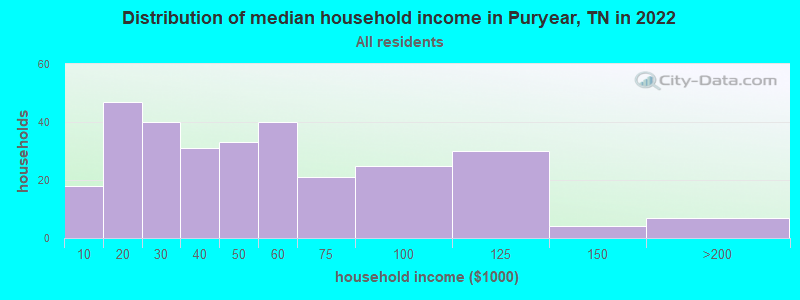 Distribution of median household income in Puryear, TN in 2022