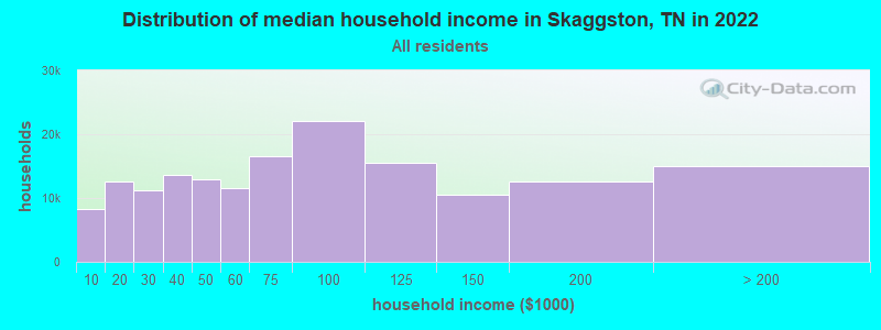 Distribution of median household income in Skaggston, TN in 2022