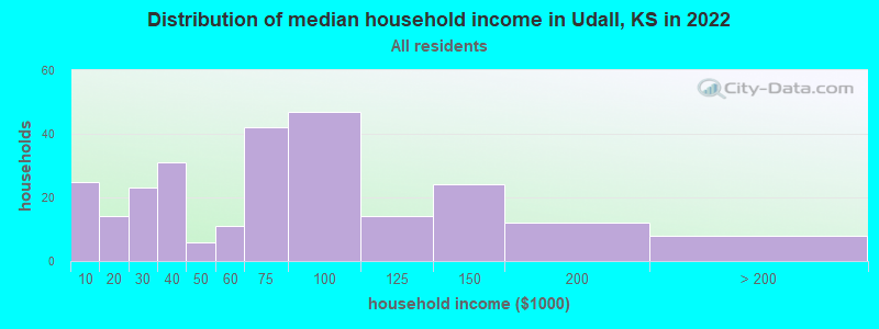 Distribution of median household income in Udall, KS in 2019