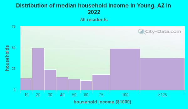 Young Arizona Az 85554 Profile Population Maps Real Estate