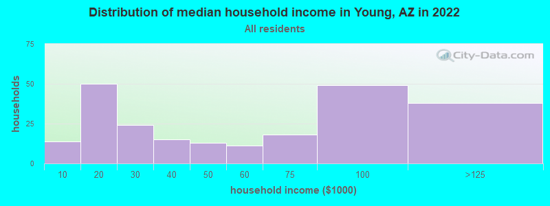 Distribution of median household income in Young, AZ in 2019