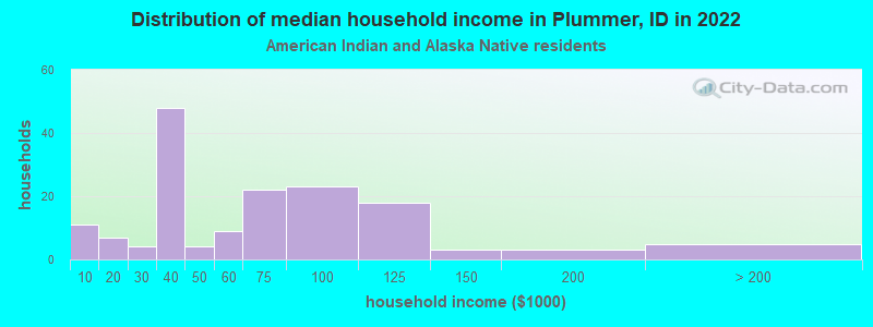 Distribution of median household income in Plummer, ID in 2022