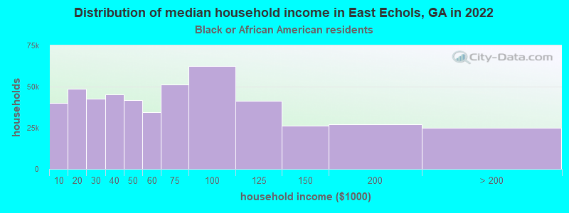 Distribution of median household income in East Echols, GA in 2022