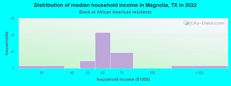 Distribution of median household income in Magnolia, TX in 2022