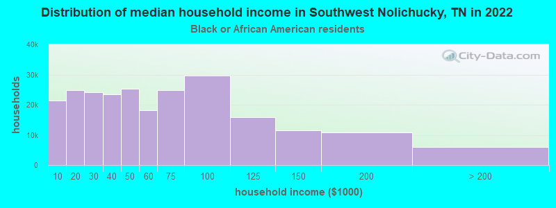 Distribution of median household income in Southwest Nolichucky, TN in 2022