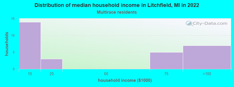 Distribution of median household income in Litchfield, MI in 2022