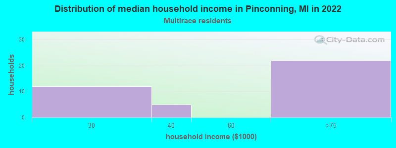 Distribution of median household income in Pinconning, MI in 2022