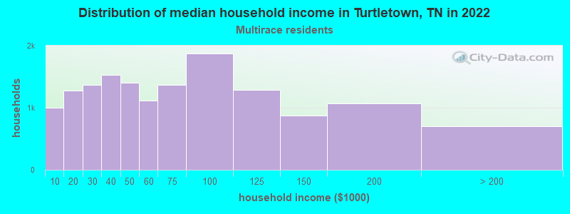 Distribution of median household income in Turtletown, TN in 2022