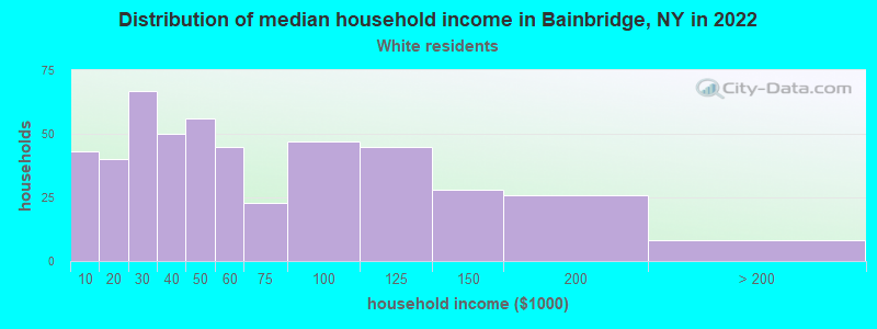 Distribution of median household income in Bainbridge, NY in 2022