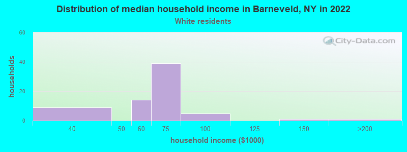 Distribution of median household income in Barneveld, NY in 2022