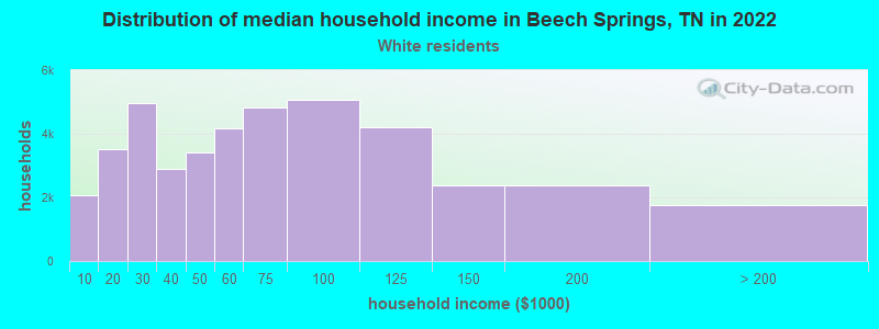 Distribution of median household income in Beech Springs, TN in 2022