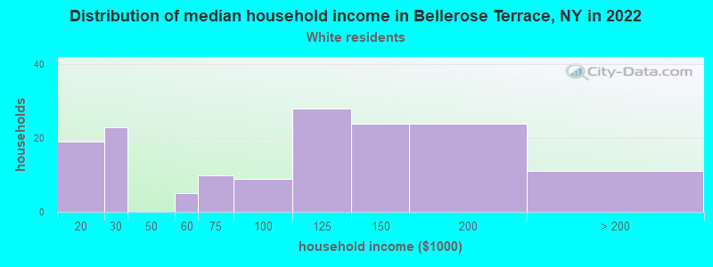 Distribution of median household income in Bellerose Terrace, NY in 2022