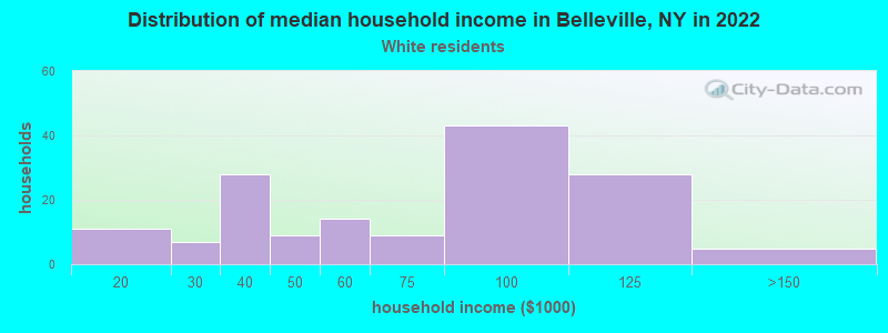 Distribution of median household income in Belleville, NY in 2022