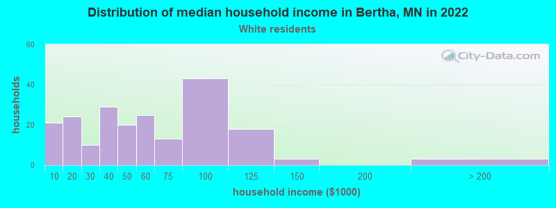 Distribution of median household income in Bertha, MN in 2022