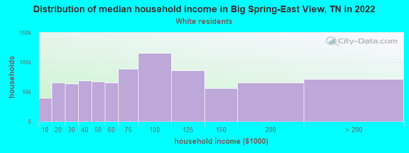 Distribution of median household income in Big Spring-East View, TN in 2022