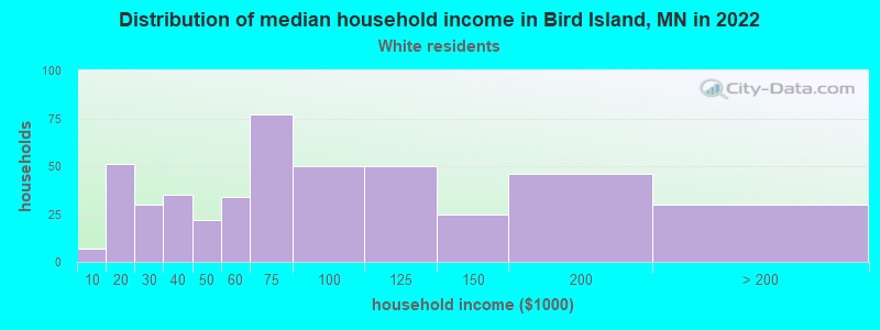 Distribution of median household income in Bird Island, MN in 2022