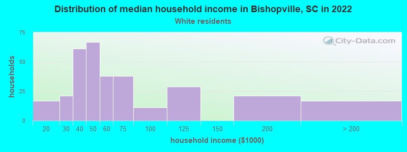 Distribution of median household income in Bishopville, SC in 2022