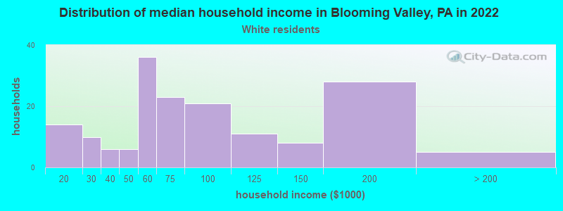 Distribution of median household income in Blooming Valley, PA in 2022