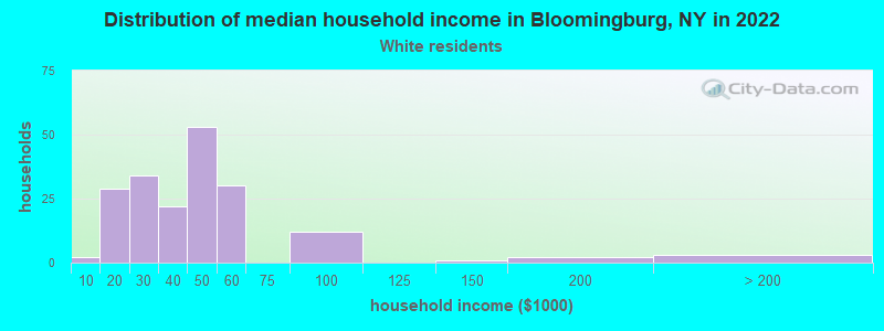 Distribution of median household income in Bloomingburg, NY in 2022