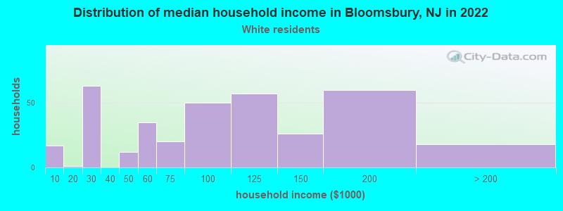 Distribution of median household income in Bloomsbury, NJ in 2022