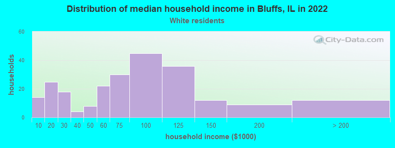 Distribution of median household income in Bluffs, IL in 2022