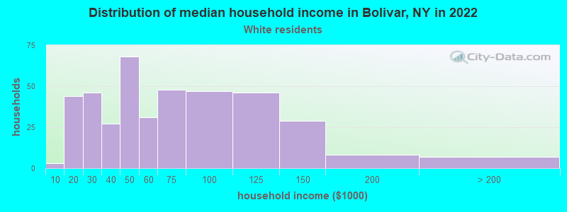 Distribution of median household income in Bolivar, NY in 2022