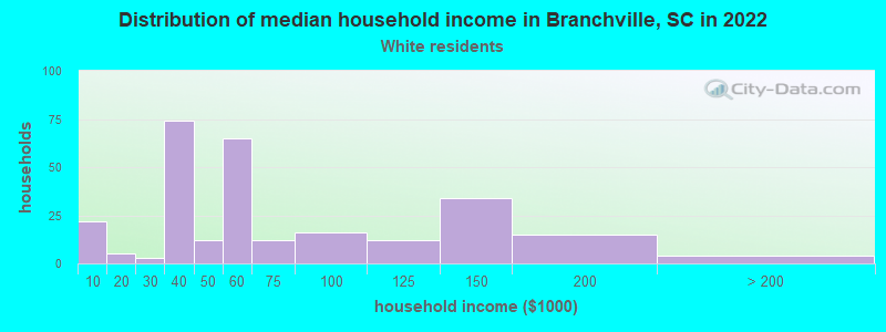 Distribution of median household income in Branchville, SC in 2022