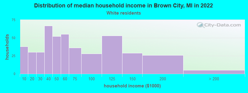 Distribution of median household income in Brown City, MI in 2022