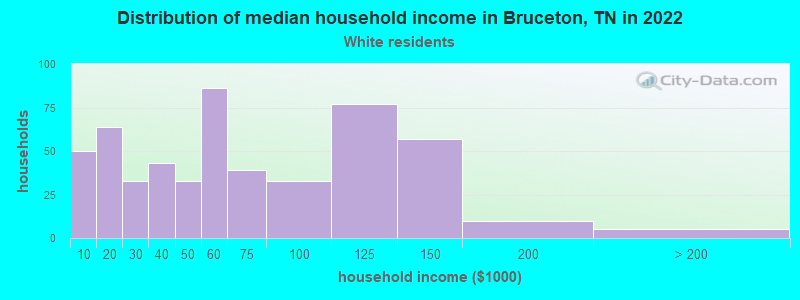 Distribution of median household income in Bruceton, TN in 2022