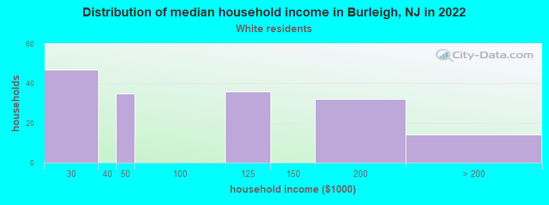 Distribution of median household income in Burleigh, NJ in 2022