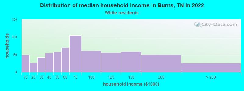 Distribution of median household income in Burns, TN in 2022
