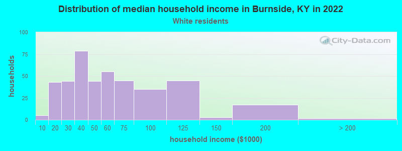 Distribution of median household income in Burnside, KY in 2022