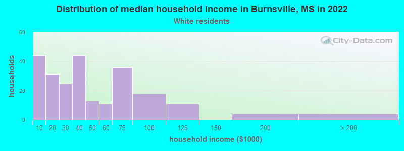 Distribution of median household income in Burnsville, MS in 2022