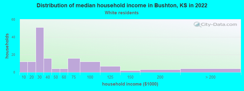 Distribution of median household income in Bushton, KS in 2022