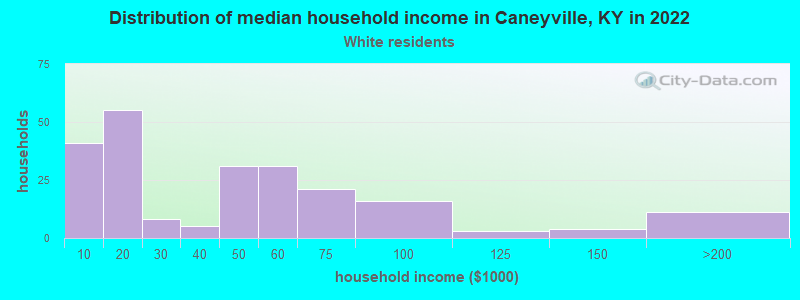 Distribution of median household income in Caneyville, KY in 2022