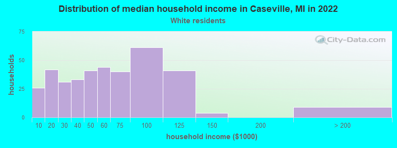 Distribution of median household income in Caseville, MI in 2022