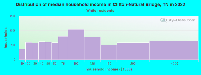 Distribution of median household income in Clifton-Natural Bridge, TN in 2022