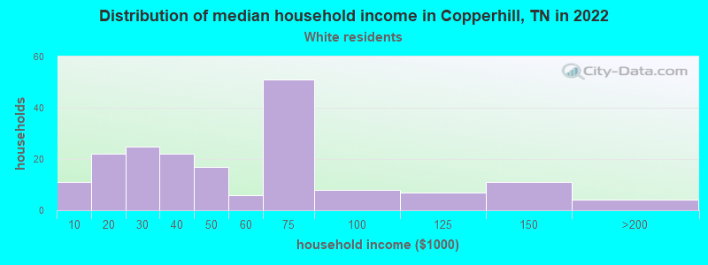 Distribution of median household income in Copperhill, TN in 2022