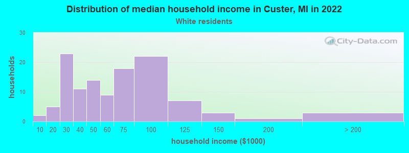 Distribution of median household income in Custer, MI in 2022