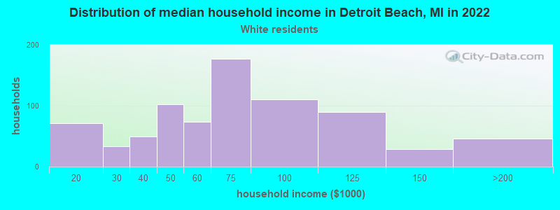 Distribution of median household income in Detroit Beach, MI in 2022