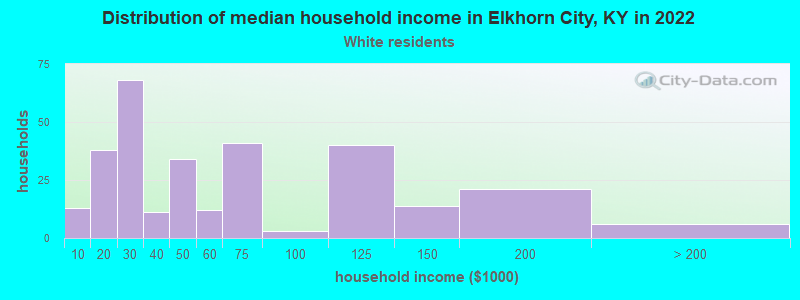 Distribution of median household income in Elkhorn City, KY in 2022