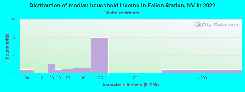 Distribution of median household income in Fallon Station, NV in 2022