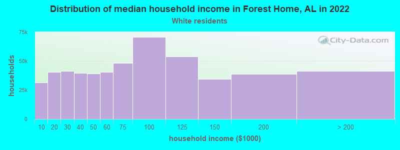 Distribution of median household income in Forest Home, AL in 2022