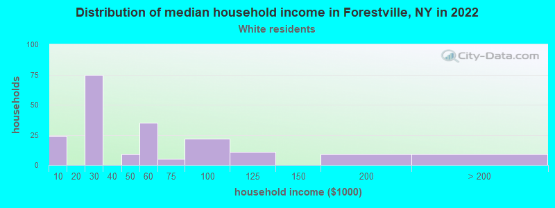 Distribution of median household income in Forestville, NY in 2022