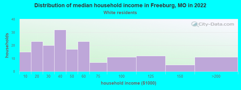 Distribution of median household income in Freeburg, MO in 2022
