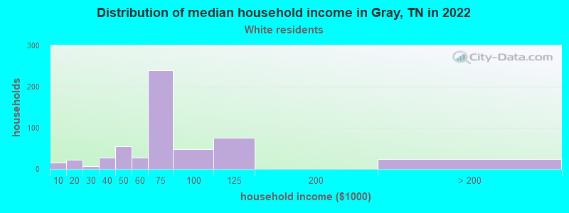 Distribution of median household income in Gray, TN in 2022